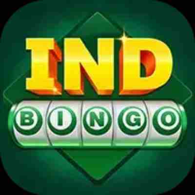Image for IND Bingo